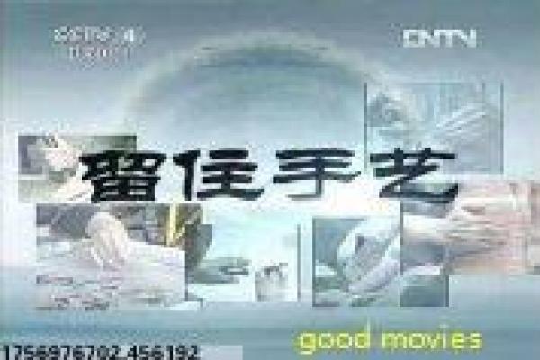 《王的女人》剧情分集解析|历史爱情与幕后细节揭秘