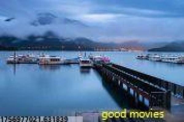 Terrordactyl故事讲解全面,拍摄过程