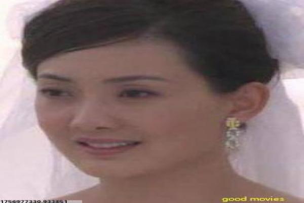 《守护丽人》剧情讲解|张嘉译与李小冉都市情感故事解析