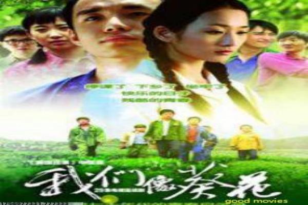 背着丈夫韩国影片讲解全面,拍摄过程