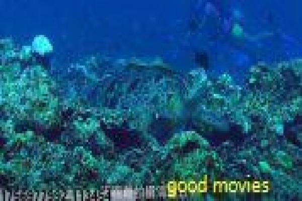 《黄金瞳》人物命运解析与全剧故事讲解