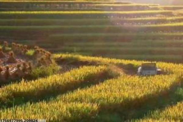 中国家庭第一部家庭设定,人物关系与剧情发展解析