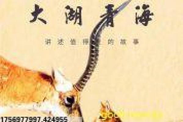 《老公的春天》剧情分集详解,婚姻春天的搞笑温情与都市拍摄幕后