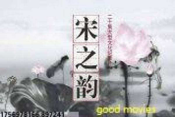 《伪装者》分集剧情深度解析,谍战伪装的兄弟情仇与悬疑拍摄幕后
