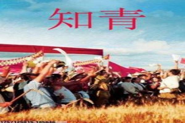 鼠胆英雄拍摄故事,黑帮喜剧的道具与场景设计