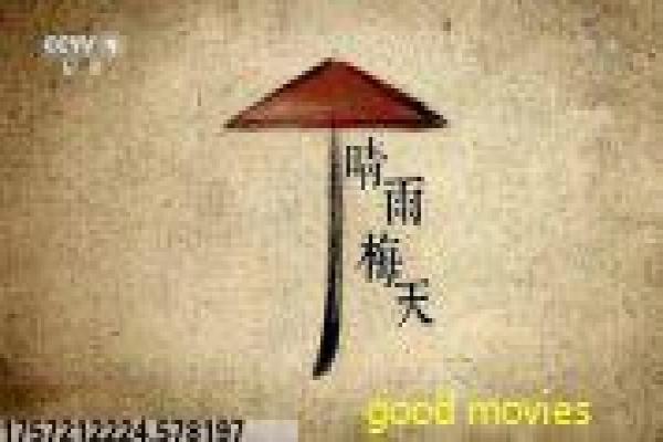《夏家三千金》都市情感剧——剧情亮点与幕后揭秘