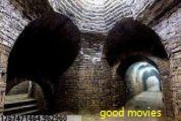 《席琳迪翁-拉斯维加斯,新的一天演唱会》席琳演唱影片拍摄故事及音乐盛典揭秘