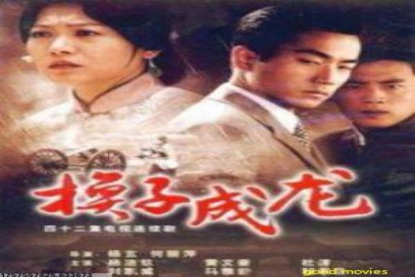 《小羽毛海蒂第二季》第二季海蒂影片故事情节深度还原与成长续篇