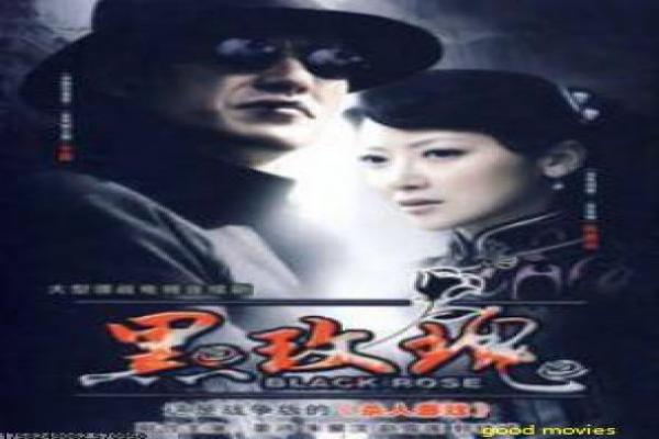 《被劫持的爱情》影片解析,被劫持的爱情爱