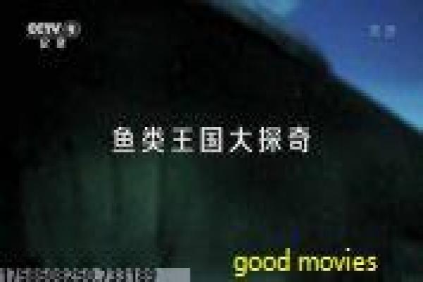 《芭比之公主的力量》影视讲解,芭比公主的力量奇幻的解析