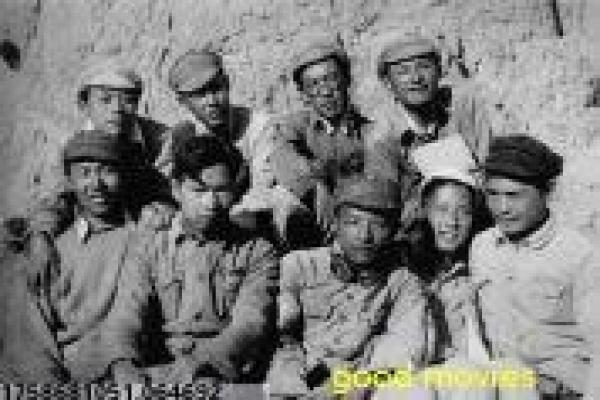 扎职在线观看-扎职的黑帮权力,剖析香港动