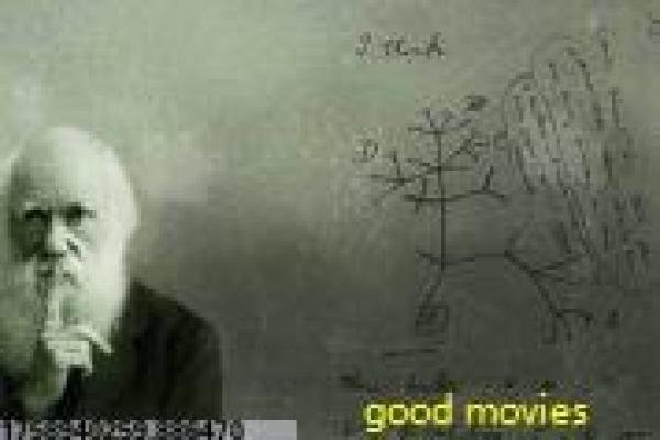 七擒七纵七色魔-七擒七纵七色魔诸葛亮,详