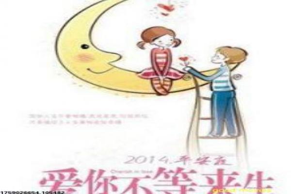 幻影丹尼-幻影丹尼的间谍冒险,剖析动作片的双重身份与谍战