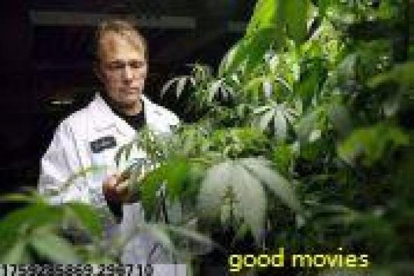 《巧奔妙逃》巧奔妙逃逃生的冒险故事情节深