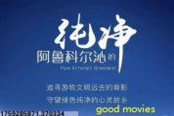 《山2》战地孤山的热血抗争,解析军人牺牲与人性光辉的战争作品