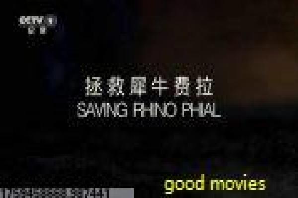 《少年鳄鱼队》影视讲解,队鳄鱼少年的水上探险解析