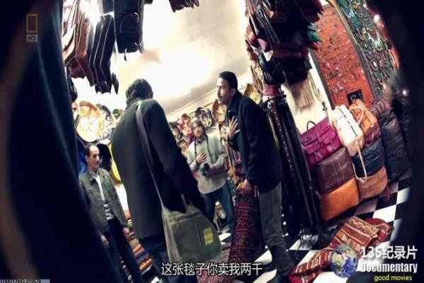 《人生访客》故事情节深度还原,人生访客意