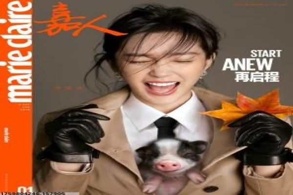 《愤怒的校花之高校惊魂》影片拍摄故事,愤