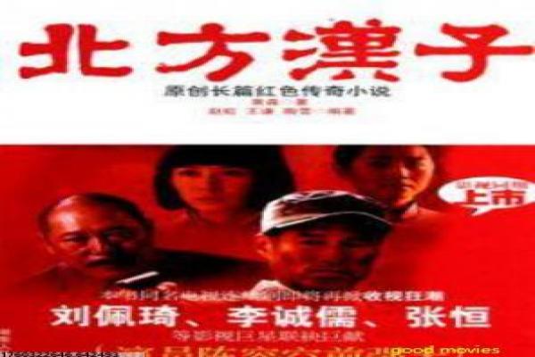 《猫鼠游戏在线》猫鼠游戏的追捕传奇,剖析真实改编的诈骗与FBI对决