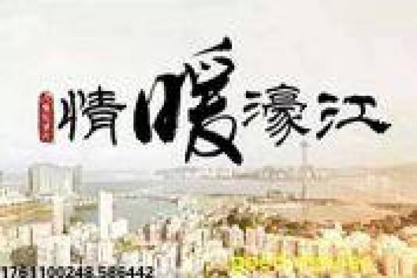 《篮球火2》影片简介,篮球火2运动的青春