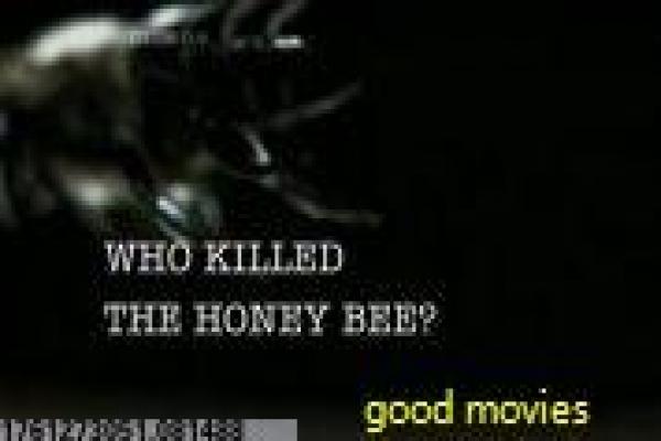 《猎鹰1949》故事情节深度还原,猎鹰1949谍战的过程 《猎鹰1949》故事情节深度还原,猎鹰1949谍战的过程