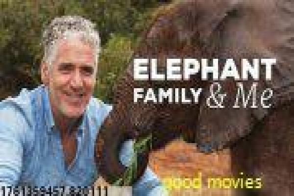 哥谭市第五季超清-蝙蝠侠前传哥谭终章超清影片简介梦想舞台的欢乐故事情节深度还原与配音明星阵容剖析