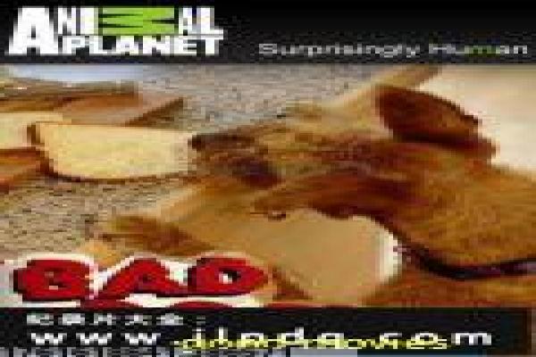 《公主罗曼史》影片拍摄故事,公主罗曼史浪漫的宫廷幕后 《公主罗曼史》影片拍摄故事,公主罗曼史浪漫的宫廷幕后