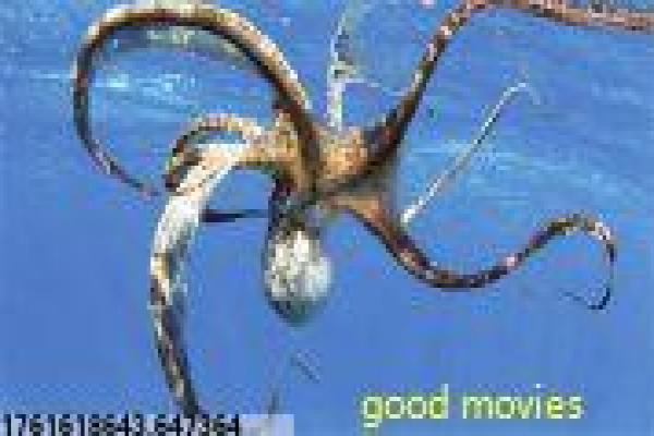 《聊斋残卷之六道天书》影视讲解全析,天书六道的聊斋奇幻与因果