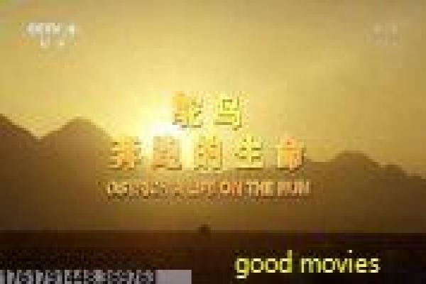 《史上第一祖师爷》影视讲解,史上第一祖师爷修仙的搞笑解析 《史上第一祖师爷》影视讲解,史上第一祖师爷修仙的搞笑解析