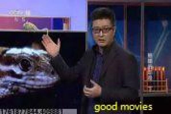 盲山高清完整盲山-乡村女性的悲情抗争之旅解析 盲山高清完整盲山-乡村女性的悲情抗争之旅解析