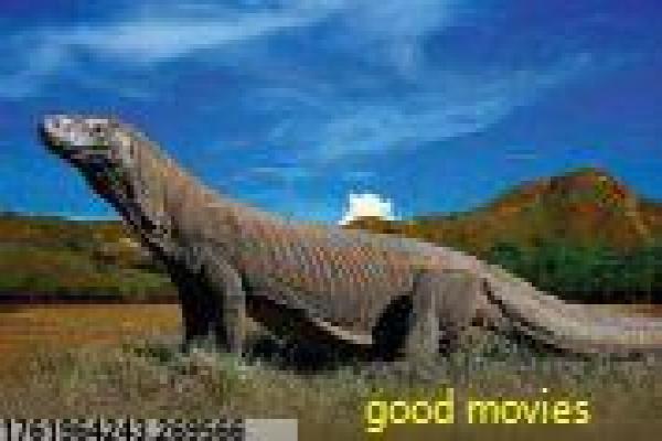 《邦杨和蓝牛》影片简介,邦杨和蓝牛冒险的传奇