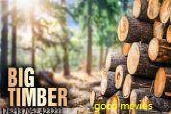 《接班女婿》故事情节深度还原,接班女婿奋斗的家庭过程 《接班女婿》故事情节深度还原,接班女婿奋斗的家庭过程