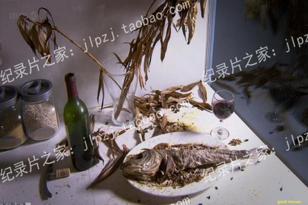 《小丑电影》小丑电影的哥谭起源,剖析杰昆·菲尼克斯主演的这部黑暗心理惊悚 《小丑电影》小丑电影的哥谭起源,剖析杰昆·菲尼克斯主演的这部黑暗心理惊悚